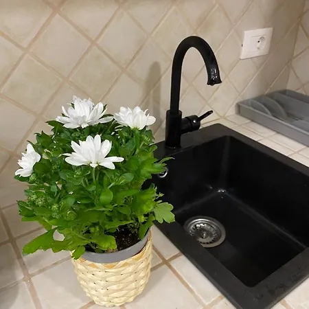 Arco Di Parma Centro Apartment